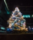 Иллюминация живой елки на территории  БЦ Eleven, Киев