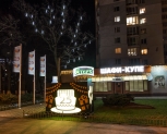 Оформление дерева для салона продаж Стерх, Киев