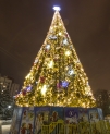 Иллюминация городской елки на Оболони, Киев
