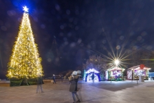 Иллюминация елки в центре Киева, парк Арка Дружбы Народов