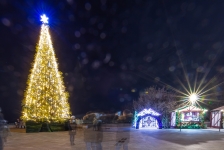 Иллюминация елки в центре Киева, парк Арка Дружбы Народов