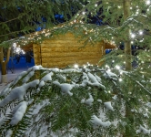 Украшение гирляндами домика на дереве, Киев