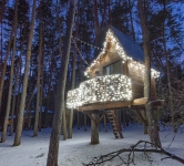 Украшение гирляндами домика на дереве, Киев