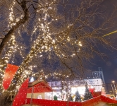Святкова ілюмінація дерев, «Містечко зимових розваг» Палац Україна