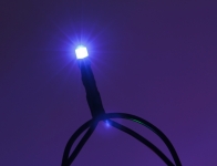 Гірлянда String ECONOM 10м (Нитка) 100 LED синій