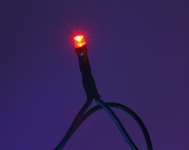 Гірлянда String ECONOM 10м (Нитка) 100 LED червоний